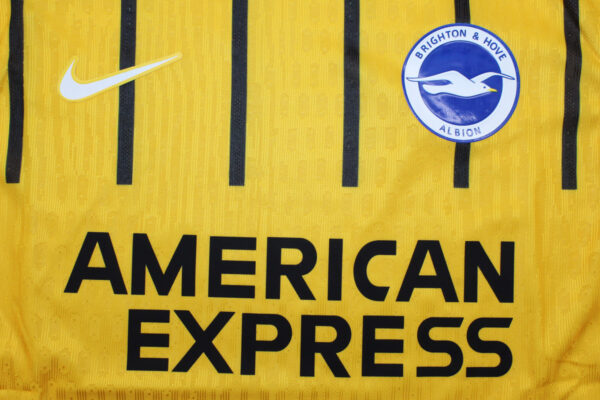 Brighton & Hove Albion Fc Visitante / Player version - Imagen 2