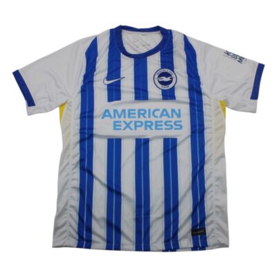 Brighton & Hove Albion Fc Local / Fan version
