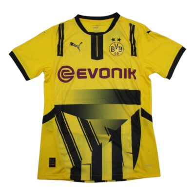 Borussia Dortmund Special version / Player version