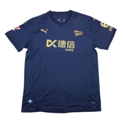 Deportivo Alavés Tercera equipacion / Fan version