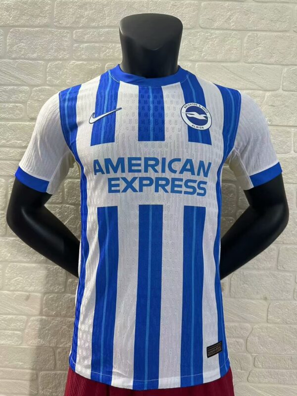 Brighton & Hove Albion Fc Local / Player version