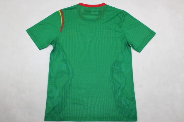 Camerún Local / Player version - Imagen 2