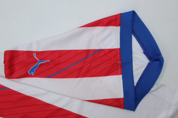 Paraguay Local / Fan version - Imagen 2