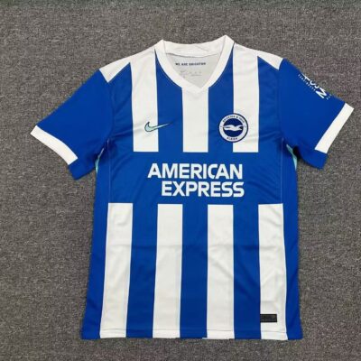 Brighton & Hove Albion Fc Local / Fan version