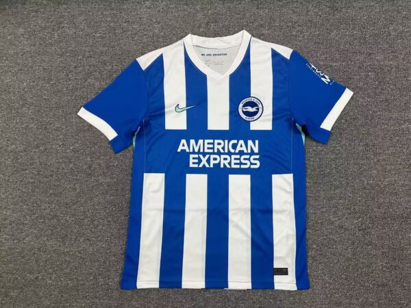 Brighton & Hove Albion Fc Local / Fan version