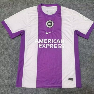 Brighton & Hove Albion Fc Local / Fan version