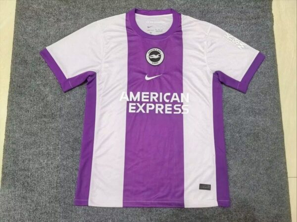 Brighton & Hove Albion Fc Local / Fan version