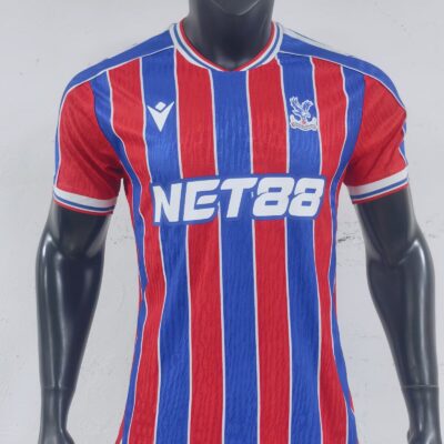 Crystal Palace Fc Local / Player version
