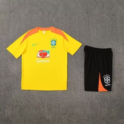Brasil Conjunto de Entrenamiento / Kid version
