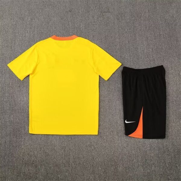 Brasil Conjunto de Entrenamiento - Imagen 2