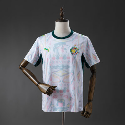 Camiseta Senegal Local / Fan version / Mundial 2026