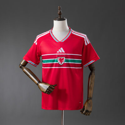 Camiseta Gales Local / Fan version / Mundial 2026