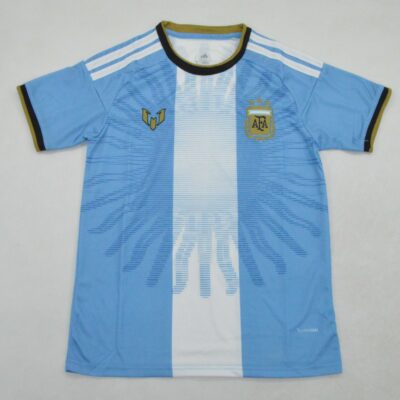 Camiseta Argentina Messi Último Partido / Fan version / 2026